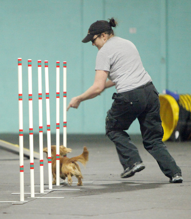 Sarah Power and her dog Neptune run through an agility course at Happy Tails in Portland on Saturday. Neptune won first place in the wildcard event. The competition continues today.