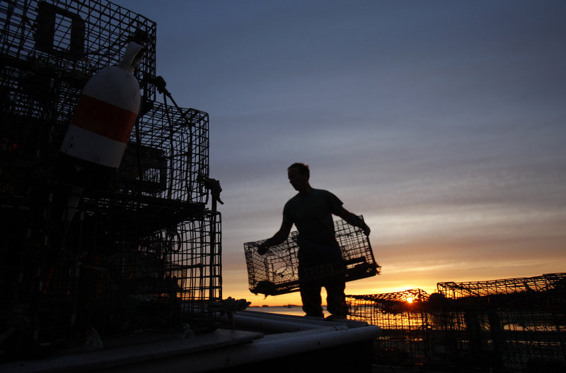 Lobsterman Bruce Steeves stacks traps at dawn in Portland during a previous season. Officials and fishermen are concerned that the Maine fishing industry is too reliant on lobster and needs diversification. Lobster accounted for 78 percent of the industry’s 2011 value.
