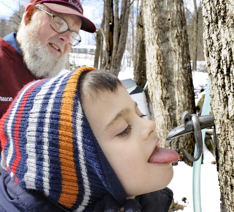 Maple syrup maker Bruce Bryant lifts his grandson John, 5, so he can taste a few drops of maple sap during their collection round Saturday. Maine is the third-largest syrup-producing state in the nation, putting out 360,000 gallons last year. Only Vermont, with 1.1 million gallons, and New York produced more syrup in 2011.