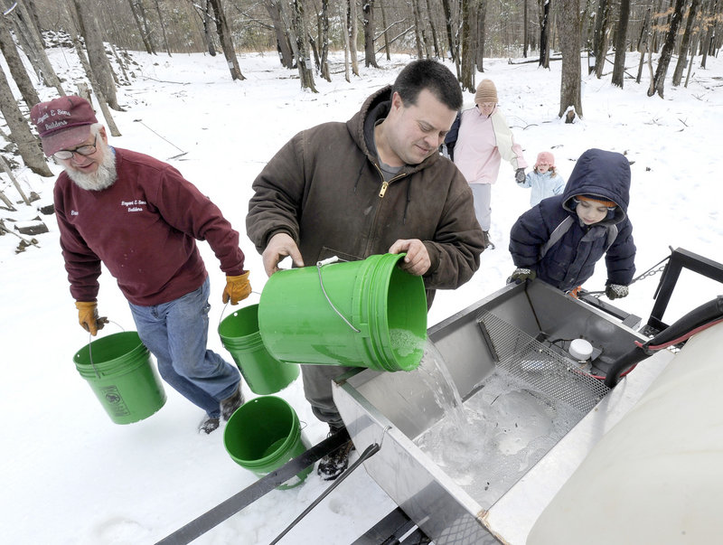 The Bryant family collects maple sap Saturday for boiling down into syrup to be sold at their business, Hilltop Boilers in Newfield. From left are Bruce, his son, Michael, Michael’s wife, Jen, their daughter, Julia, and their son, John. They began tapping on Feb. 10.