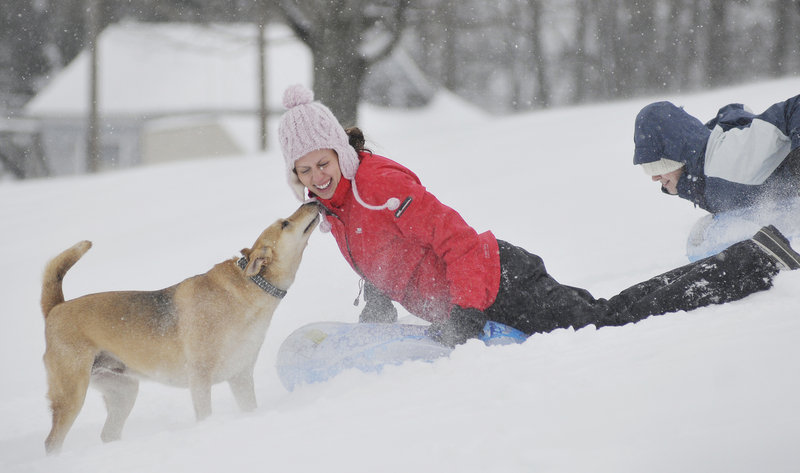 Anna Berthiaume is greeted by her dog Kendra after sliding down the hill at Saco Middle School on Thursday. Berthiaume and her friend Kristin Brown, right, are students at the Unversity of New England and were taking advantage of a day off from school.