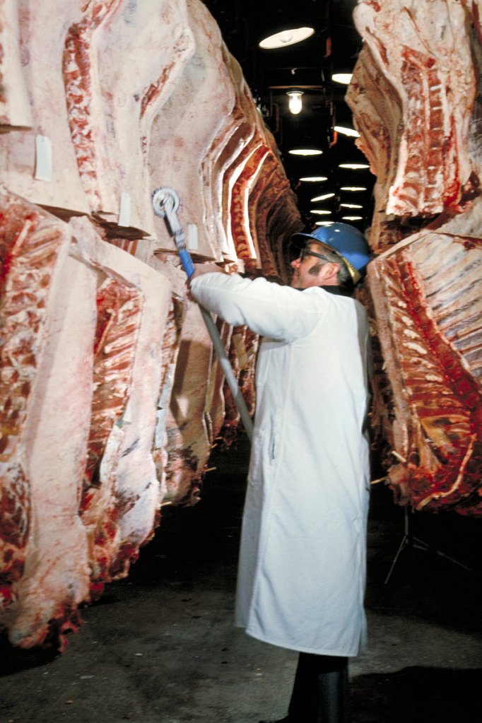 An inspector with the U.S. Department of Agriculture works at a meat processing plant in Texas in this undated photo. The USDA has not identified the source of contamination in the salmonella outbreak late last year that prompted Hannaford supermarkets to recall ground beef. Since the recall, Hannaford has voluntarily altered its grinding log practices, and federal regulators acknowledge that tough new record-keeping rules are necessary.
