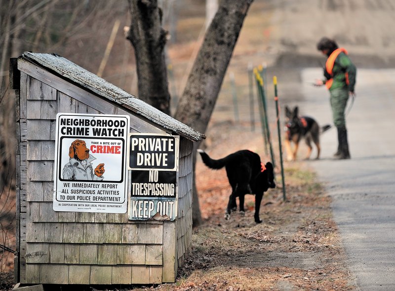 A volunteer with search dogs checks an area along Heath Court in Oakland on Saturday morning during a search for any clues to solving the disappearance of Ayla Reynolds.