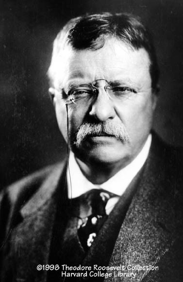 President Theodore Roosevelt typically put seven lumps of sugar in his coffee.