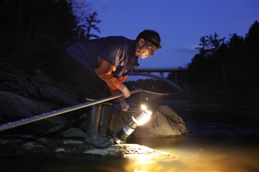 Bruce Steeves uses a lantern while dip netting for elvers on a river in southern Maine last week. Elvers are young, translucent eels that are born in the Sargasso Sea and swim to freshwater lakes and ponds where they grow to adults before returning to the sea.