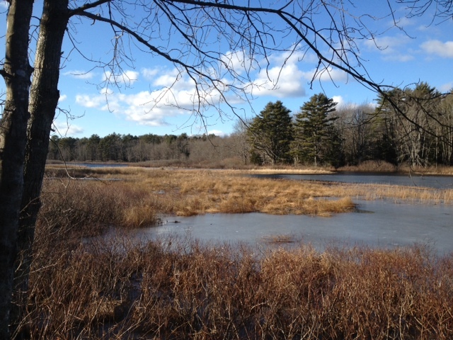 Boyd Pond, a wide section of the Pemaquid River, is one of the attractions for hikers traversing the many trails at Crooked Farm Preserve in Bristol.