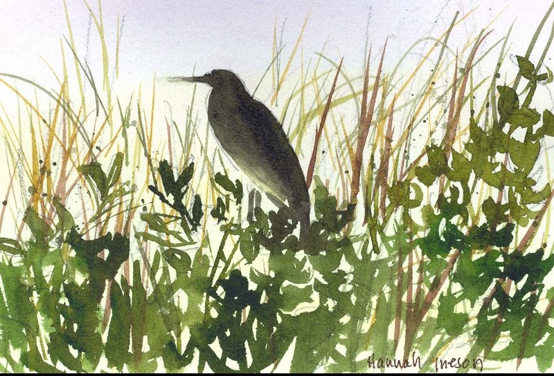 “Little Green Heron” by Hannah Ineson, from “Local Colors” at Coastal Maine Botanical Gardens in Boothbay.