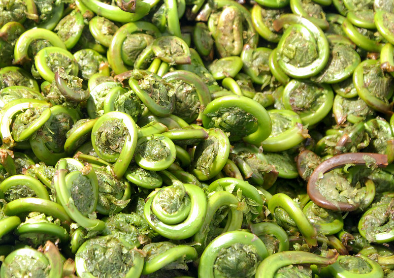 No other vegetable compares to fiddleheads, which are best cooked closer to well-done than al dente.
