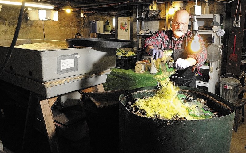 Jonathan Dyer feeds a bag of shredded lettuce to a tub of red wiggler worms at Black Gold Vermiculture & Research.