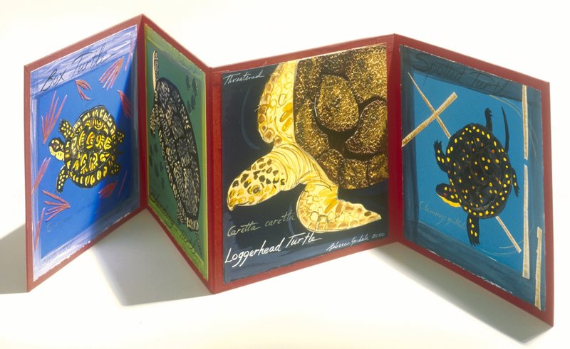 "Four Maine Turtles" by Rebecca Goodale.