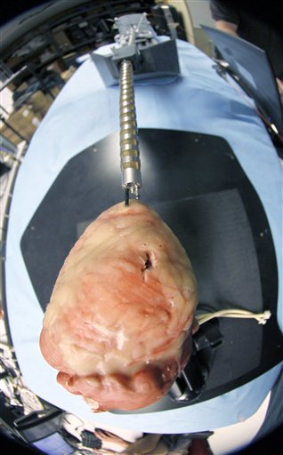 One of the robots being developed at Carnegie Mellon University penetrates a model of a heart.
