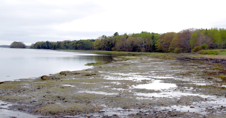This wooded area that spreads across more than 100 acres on the shoreline of Maquoit Bay was one parcel conservationists hoped to protect when Maine's Legislature restored funding to the Land for Maine's Future program in 2005.