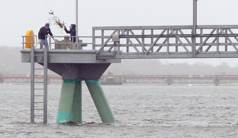 Randy Emmons, left, and Toni Doucette, workers with the city of Portland, remove an osprey nest at the end of the megaberth pier at Ocean Gateway today.
