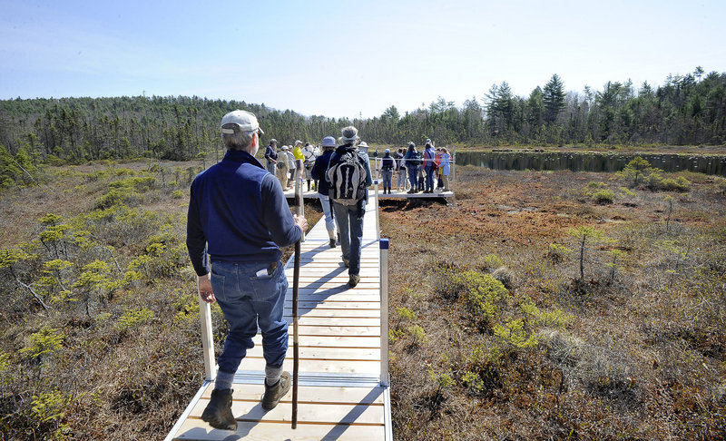 Chuck Dinsmore, a retired professor of medical research and high school teacher, follows hikers on a new bog boardwalk trail as he leads a class.