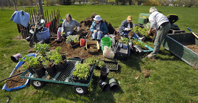 Volunteers dig up and pot plants for the Bowdoinham plant sale, the longest running of its kind in Maine.