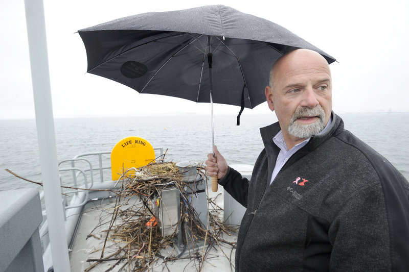 Bob Leeman, the city’s port manager, inspects a half-constructed osprey nest on a mechanical capstan at the end of the pier at Ocean Gateway Pier II on Friday. Leeman said he planned to contact state wildlife officials for guidance about when and how the nest may be removed legally from the pier.