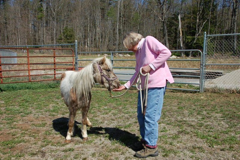 Maine State Society for the Protection of Animals president Marilyn Goodreau welcomes Misty to Windham.