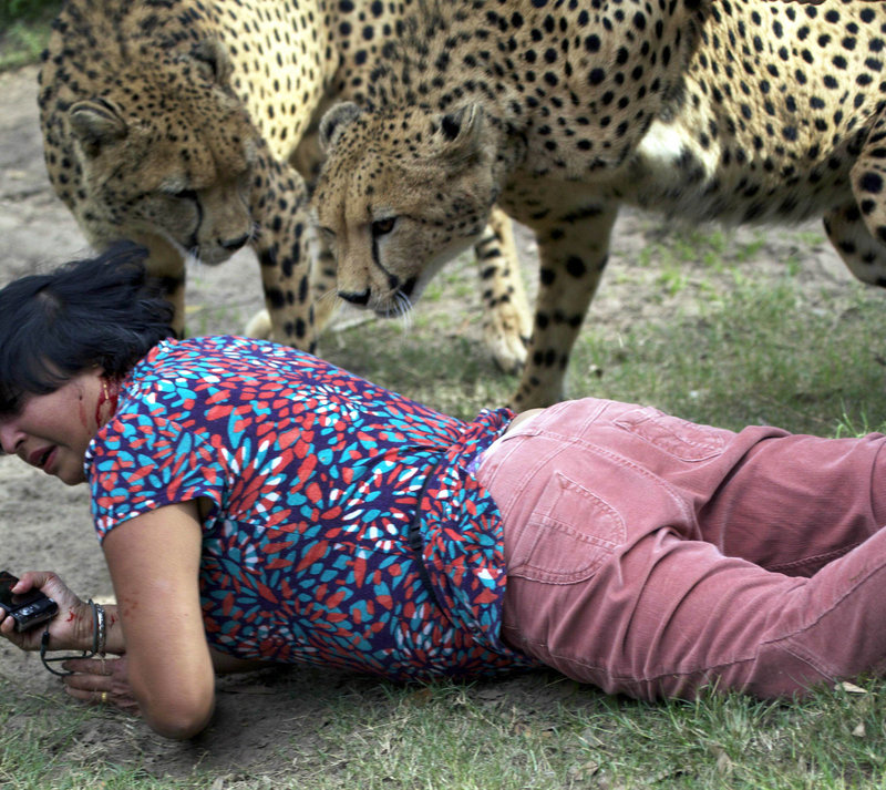 D'Mello on the ground after the attack. The cheetahs “were just excited,” not being vicious, she said.