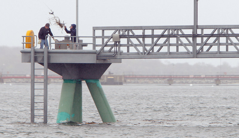 Randy Emmons, left, and Toni Doucette, municipal workers in Portland, remove an osprey nest from the end of the city’s Ocean Gateway pier on Tuesday. There were no eggs in the nest.