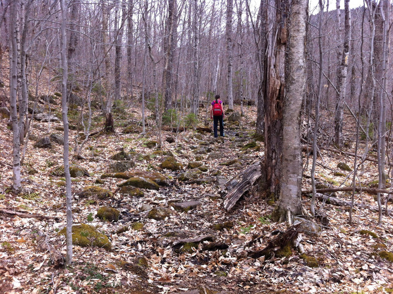 A large portion of the Mud Brook and Caribou trails offers rocks and roots that require hikers to avoid twisting an ankle. It’s not a big problem but can be tiring.
