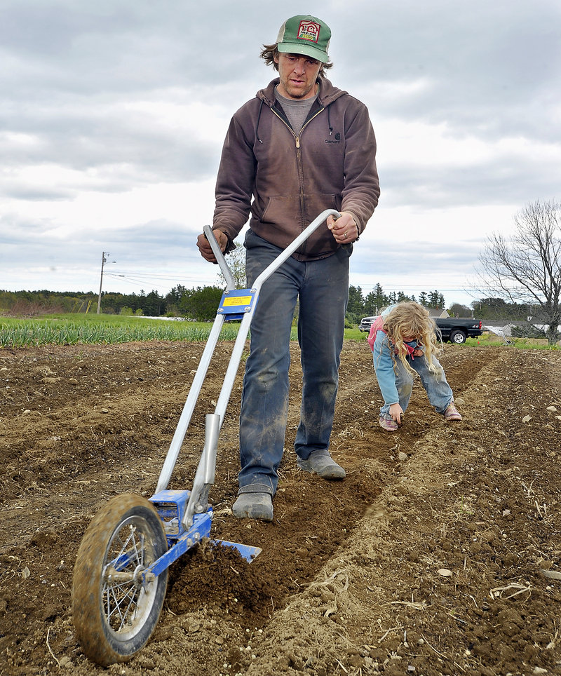 John Bliss and his daughter, Flora, 5, plant peas in a field leased from the Scarborough Land Trust. He covers up most of the planted peas with a wheel hoe and she follows up to make sure they are all covered.