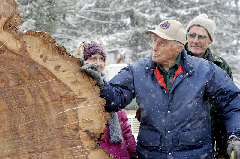 Frank Knight saw Herbie, the 217-year-old Yarmouth tree, taken down in January 2010.