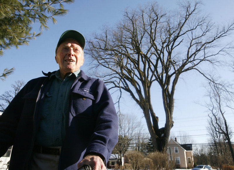 Frank Knight stands in front of what was then New England’s oldest elm tree, “Herbie,” in 2009. Knight took care of Herbie for five decades, and when the diseased tree had to be cut down in 2010, he said, “Nothing lasts forever. We had a great, beautiful relationship.”