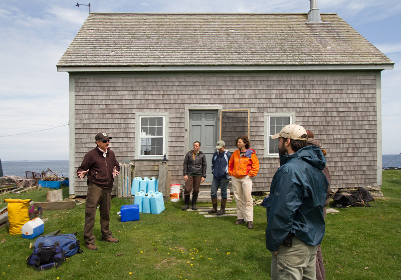 Brian Benedict, the Maine Coastal Island’s deputy refuge manager, coordinates a sheep-herding effort on Metinic Island, which is located off the coast near Rockland.