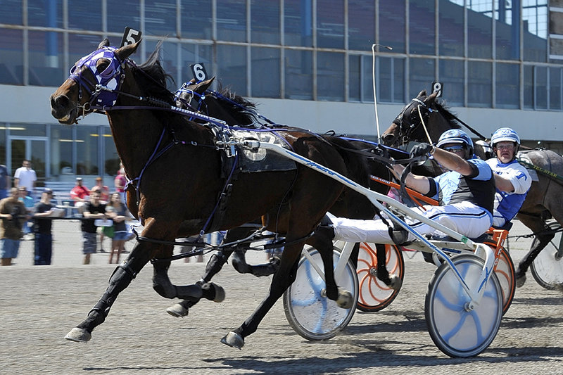 Kevin Switzer recorded his 3,000th career driving victory Saturday at Scarborough Downs, guiding pacer Magic Dancer to victory in the second race. Switzer, 55, added two more wins behind Bubba McGee and NF Sinfull to move to the top of the driver leaderboard for the season.