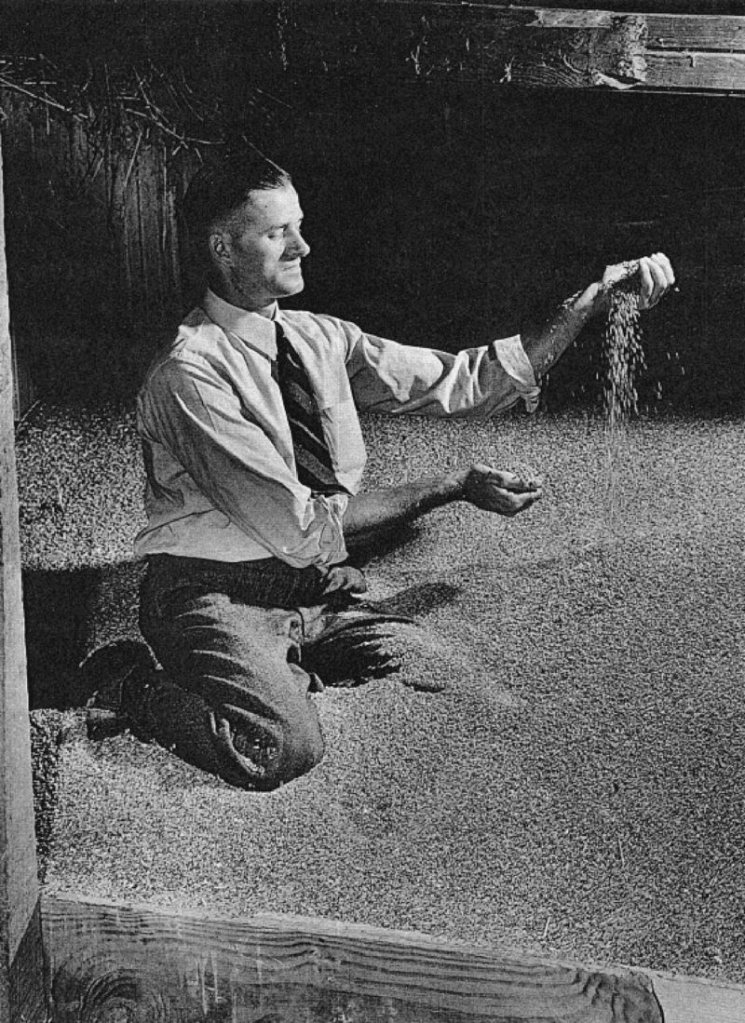 Ohio farmer Roscoe Filburn