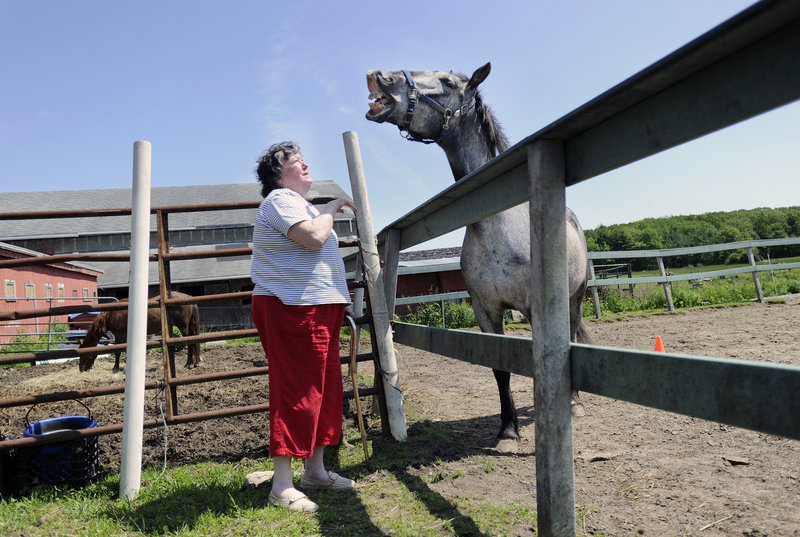 Maureen Clark of Saco meets Braveheart, a mustang with Ever After Mustang Rescue, at Bush Brook Farm in Biddeford on Sunday, Maine’s first Equestrian Open Barn Day. More than 40 horse farms across the state participated.