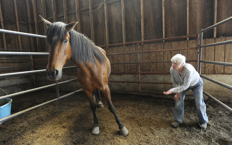 Mona Jerome, director of Ever After Mustang Rescue in Biddeford, works with Cheyenne on the mustang’s people skills before visitors arrived on Sunday.