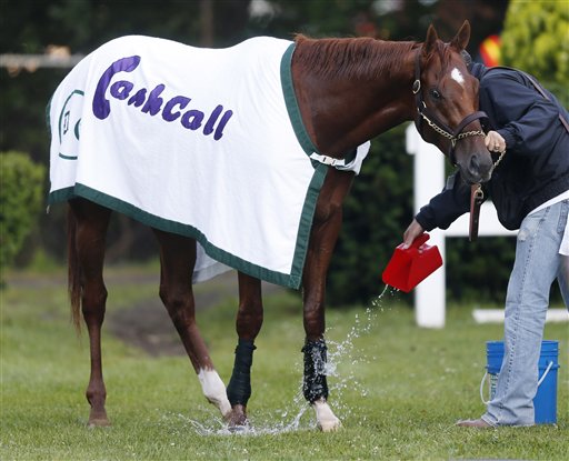 Hot walker Benjamin Perez pours water on I'll Have Another after training at Belmont Park in Elmont, N.Y., today.