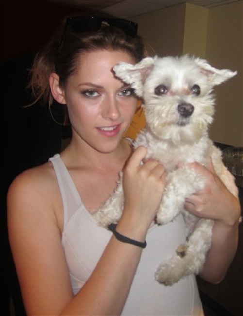 In this undated photo provided by Lucky Diamond Productions, Inc., Kristen Stewart holds Lucky Diamond. The fifteen-year-old Maltese who the Guinness Book of World Records credited was ìthe animal photographed with the most famous people,î died at her home in New York on Tuesday, June 5, 2012 of spleen cancer. For over a decade, Lucky, and her owner Wendy Diamond, publicized the importance of adopting homeless animals and taking good care of them. (AP Photo/Lucky Diamond Productions, Inc.)