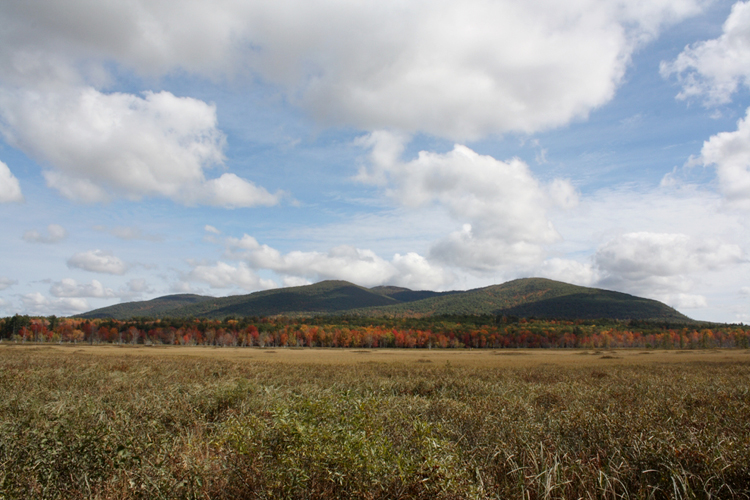 In this photo of the Black Brook Bog, located on Harnden Road in Denmark, Pleasant Mountain’s westerly side is in full view.