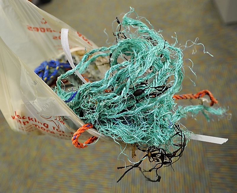 Plastic waste is to blame for polluting our oceans, a reader writes.