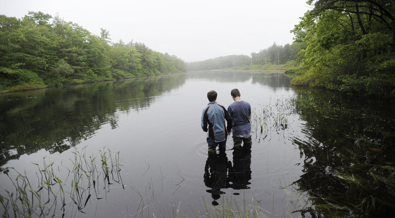 Erik Hogan, left, and Mason Beaudoin, eighth-graders at Loranger Middle School in Old Orchard Beach, wade into the water at Long Pond while doing research at Ferry Beach State Park in Saco. The two were on a field trip to do research, and got permission from the park to enter the water.