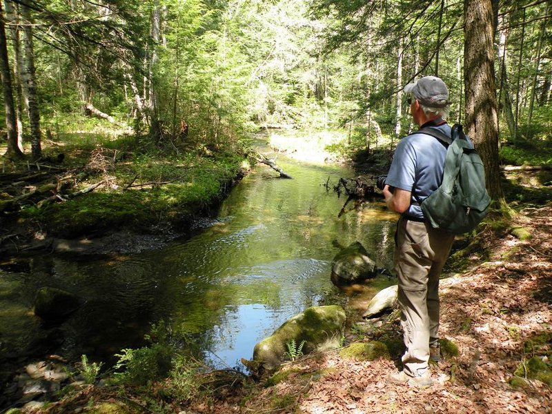 The Sheepscot Headwaters Trail Network is a 15-mile system of public hiking trails that lead through pleasant forests and open fields along winding streams and pretty marshes.