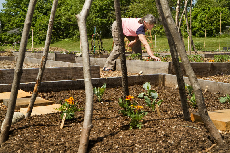 DeAnn Lewis, a Community Garden Collective board member, checks one of the 39 plots in the new South Portland community garden, behind the former Hamlin School. The city’s other community garden has a waiting list.