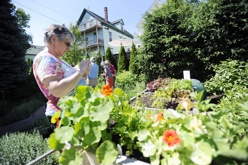 Sharon LaFrancis of Windsor, Conn., photographs a salad table garden. Gardeners said opening up their yards helps raise money for a good cause, and they get gardening tips from their visitors.