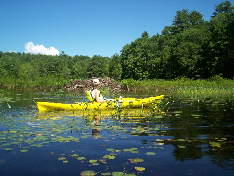 Dyer Long Pond in Jefferson is a great place for kayaking in placid conditions, especially early in the day.