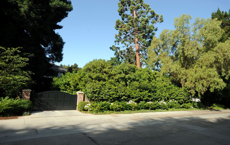 Trees covers the front of Facebook CEO Mark Zuckerberg's house in Palo Alto, Calif.