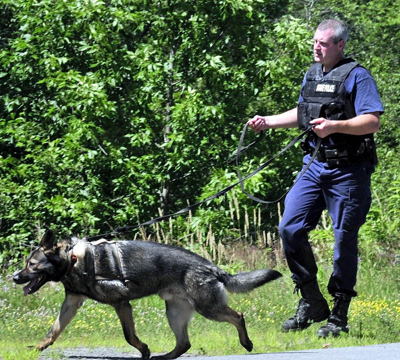 A Maine State trooper and a tracking dog enter the woods off Route 150 in Skowhegan on Monday to search for escaped Somerset County Jail inmate Dylan Perkins.