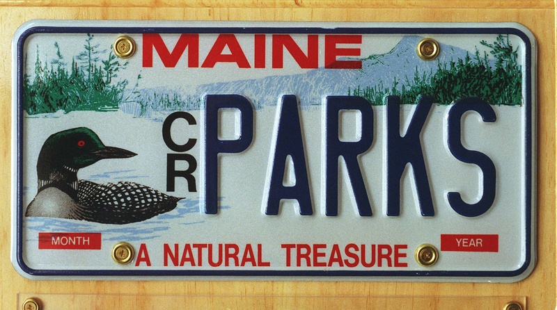 The purchase of Maine loon license plates supports state conservation and wildlife preservation efforts. Jack Milton