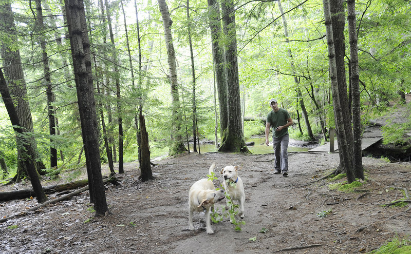 Mike Dore of Portland walks with his dogs Murphy and Blue on a trail in the Robinson Woods II parcel the Cape Elizabeth Land Trust is working to buy.