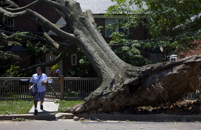 Letter carrier Giovanny Alvarez is undaunted as he passes an uprooted tree while delivering mail in Washington.