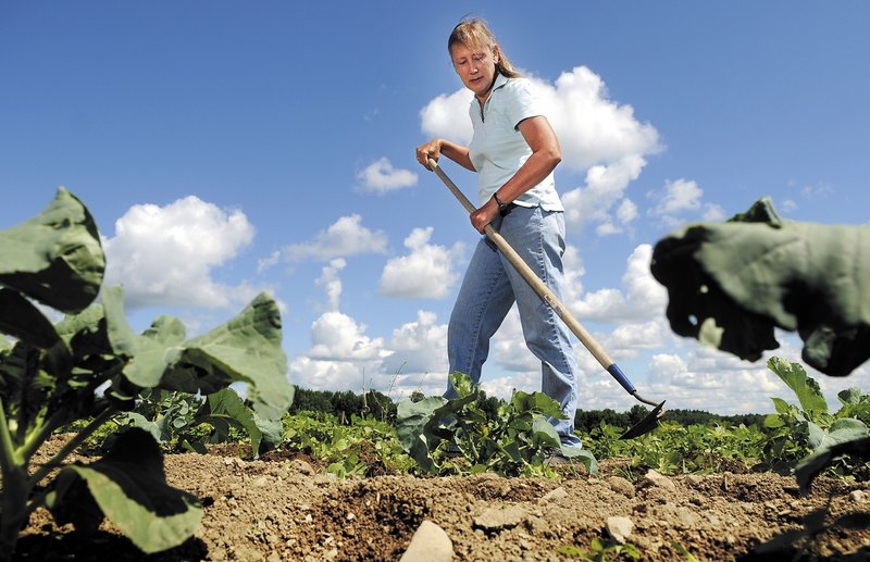 Diane Campbell hoes in her garden Tuesday at Wolf Creek Farm in Sidney. Campbell says she has had to replant some of her produce three times this year due to weather conditions that have impeded growth.