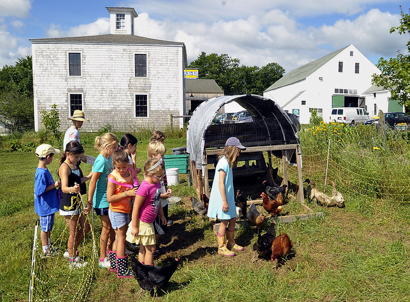 A group of youngsters taking part in a farm camp at Broadturn Farm in Scarborough explore the chicken pen as they learn about agriculture and animal husbandry. The Broadturn farm camp tradition this year became the nonprofit Long Barn Educational Initiative.