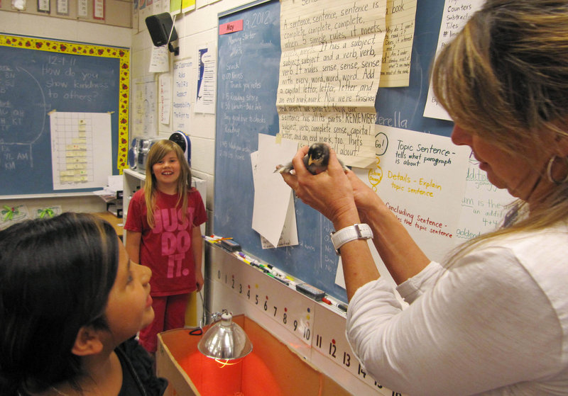 Middleton Heights Elementary Principal Robin Gilbert holds a baby chick in an all-girl classroom of first- and second-graders.