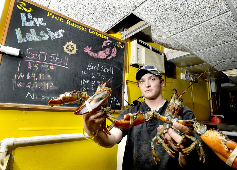William Ray holds a pair of soft-shell lobsters at Free Range Fish & Lobster market in Portland last week.